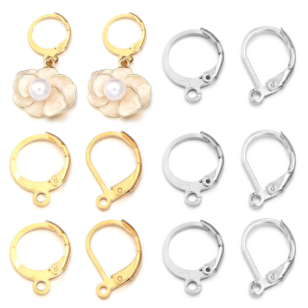 20 stks/partij Rvs Oorhaak Ron - Jewelry Making Hobby recensie en prijs